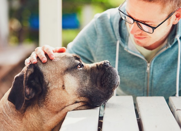 Do Dogs Have A Sixth Sense That Helps Them Read Your Mood?